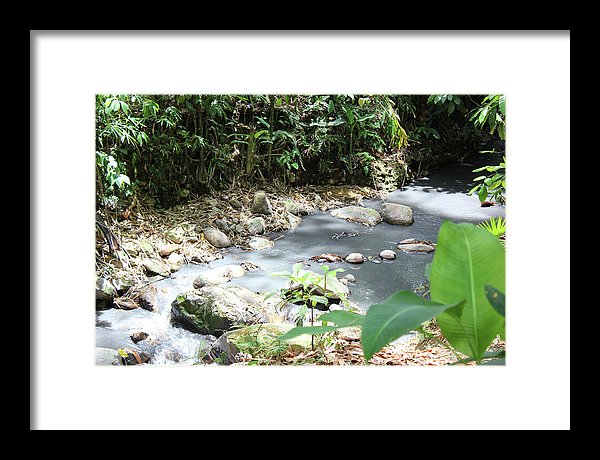 Sulphur Spring - Framed Print