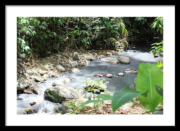 Sulphur Spring - Framed Print