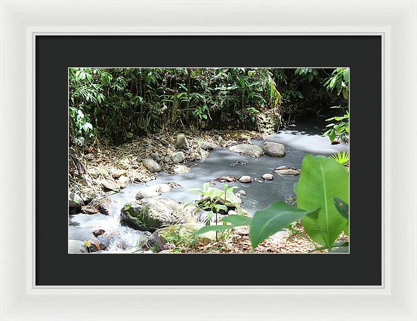 Sulphur Spring - Framed Print