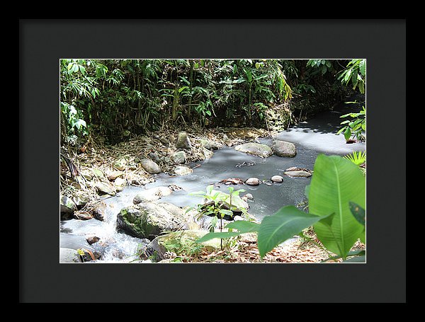 Sulphur Spring - Framed Print