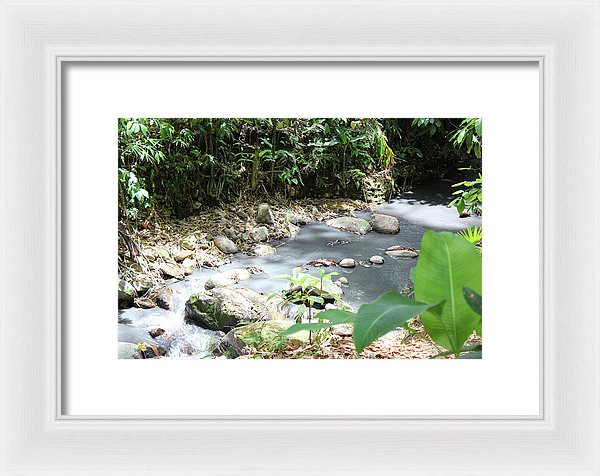 Sulphur Spring - Framed Print