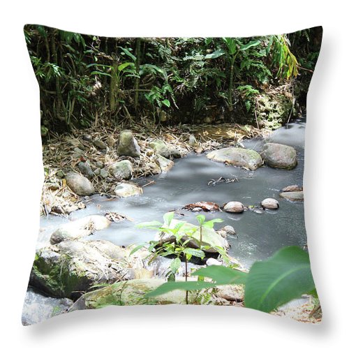 Sulphur Spring - Throw Pillow