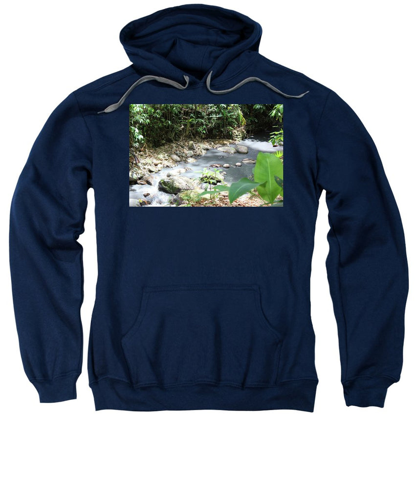 Sulphur Spring - Sweatshirt