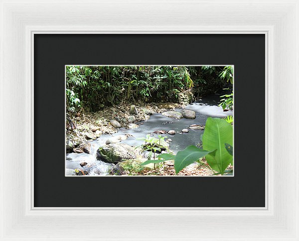 Sulphur Spring - Framed Print