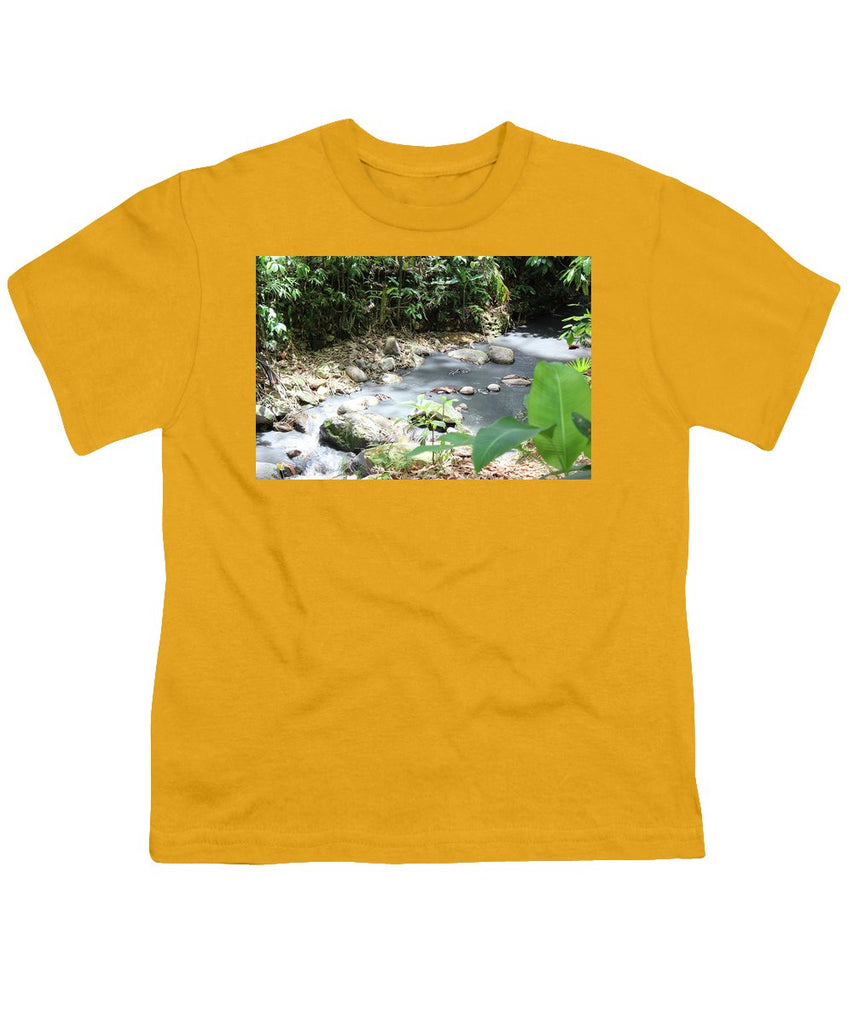 Sulphur Spring - Youth T-Shirt