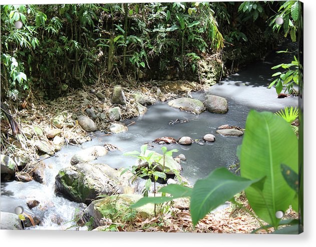 Sulphur Spring - Acrylic Print