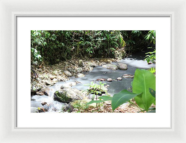 Sulphur Spring - Framed Print