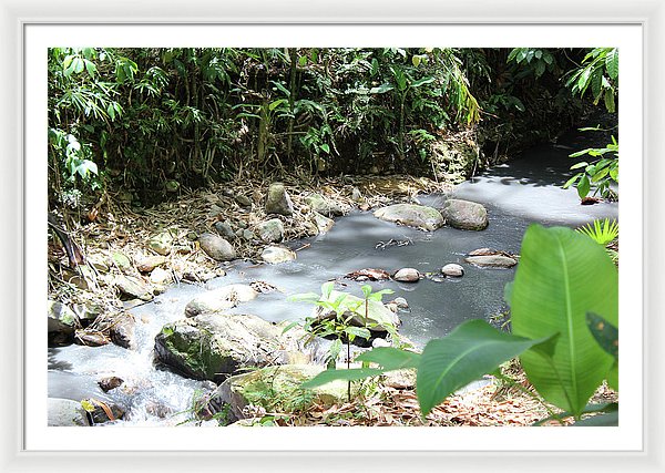 Sulphur Spring - Framed Print