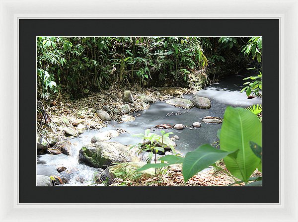 Sulphur Spring - Framed Print