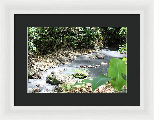 Sulphur Spring - Framed Print