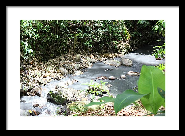 Sulphur Spring - Framed Print