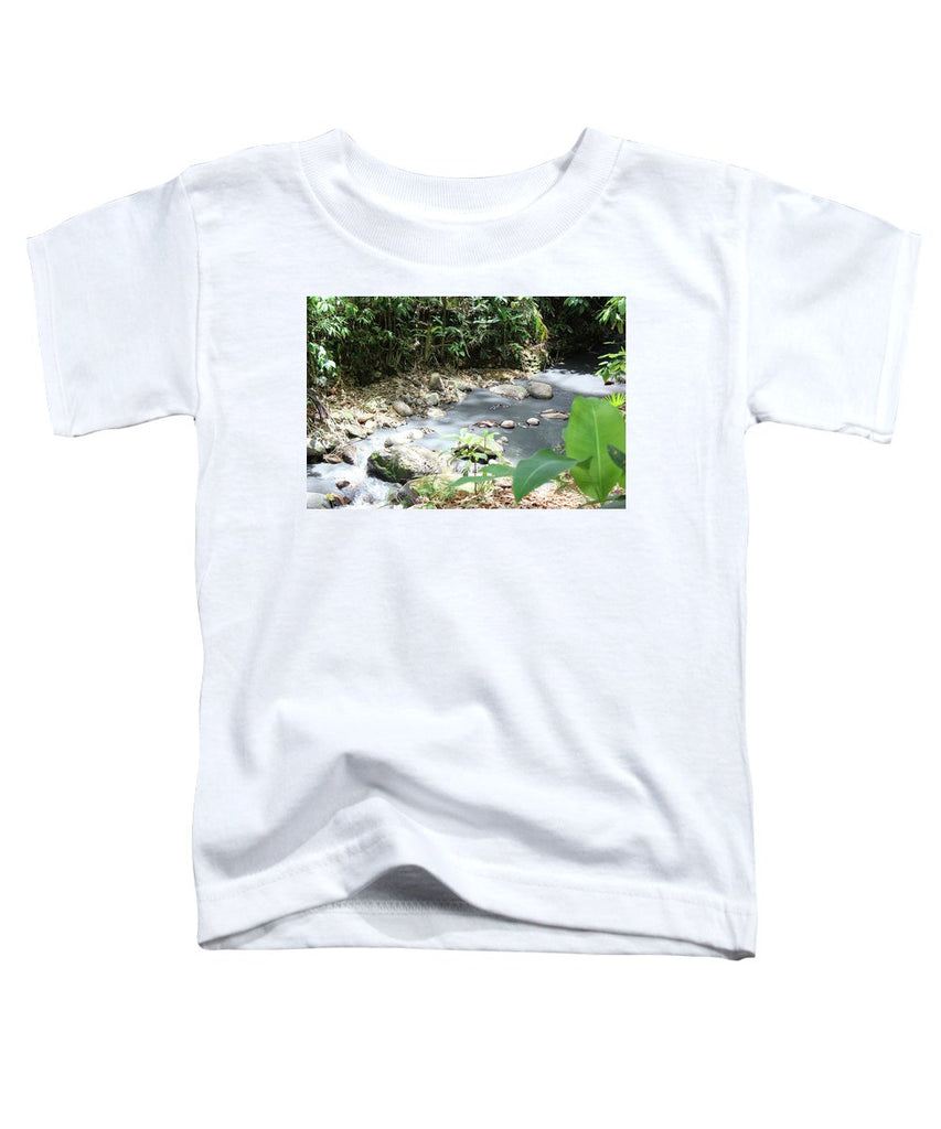 Sulphur Spring - Toddler T-Shirt