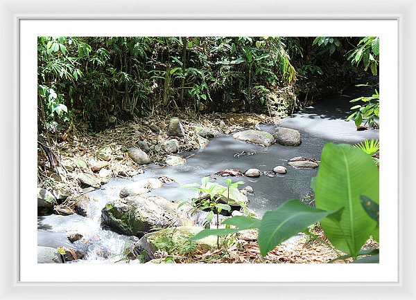 Sulphur Spring - Framed Print