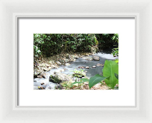 Sulphur Spring - Framed Print