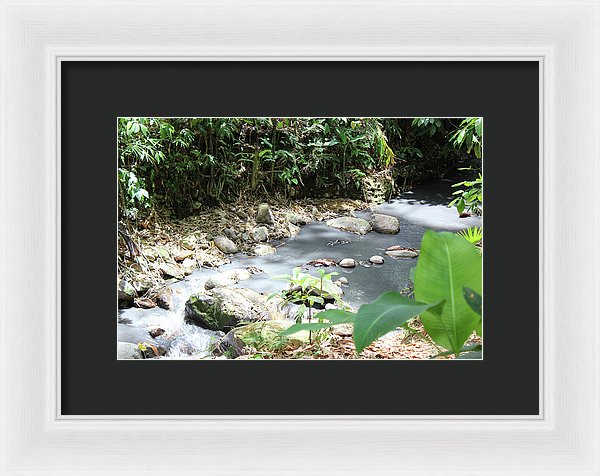 Sulphur Spring - Framed Print