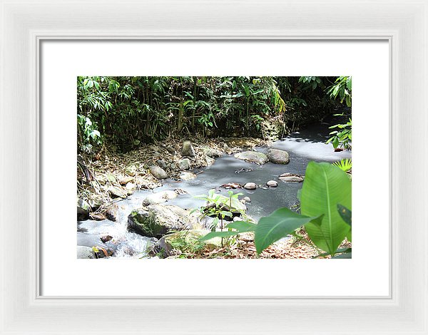 Sulphur Spring - Framed Print