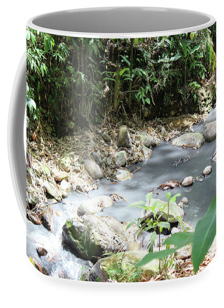 Sulphur Spring - Mug