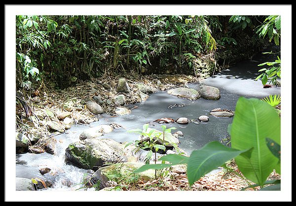 Sulphur Spring - Framed Print