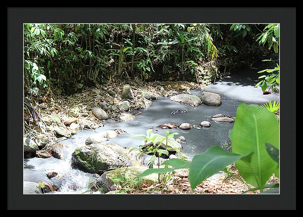 Sulphur Spring - Framed Print