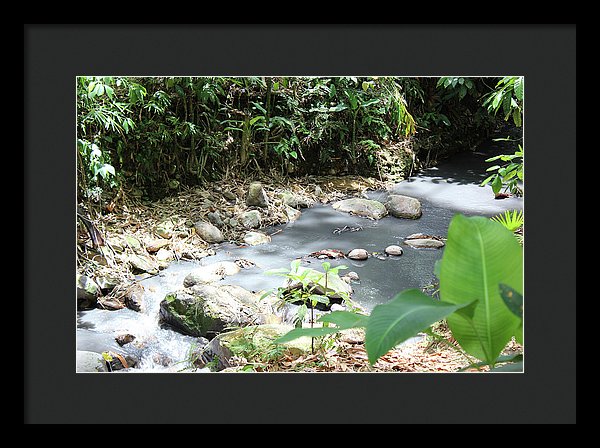 Sulphur Spring - Framed Print