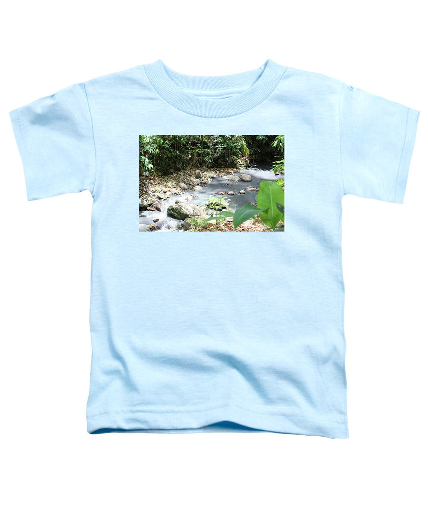 Sulphur Spring - Toddler T-Shirt