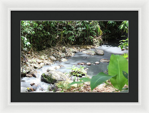 Sulphur Spring - Framed Print