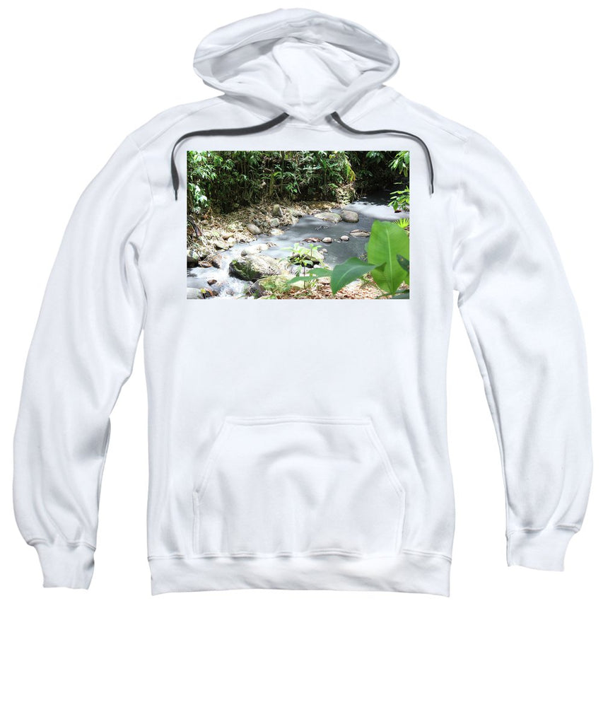 Sulphur Spring - Sweatshirt