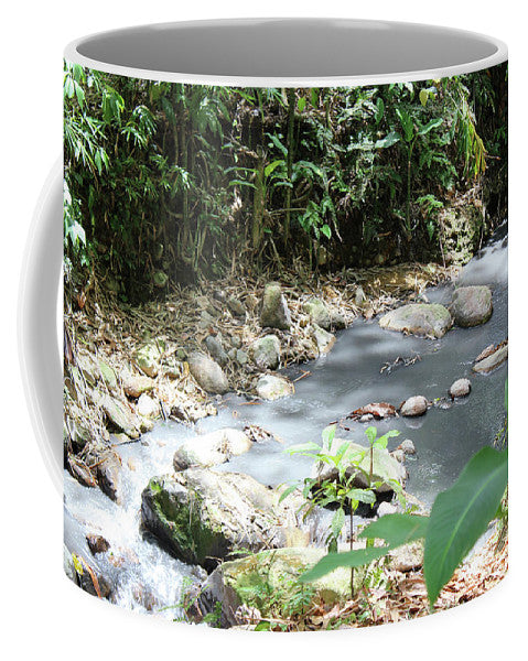 Sulphur Spring - Mug