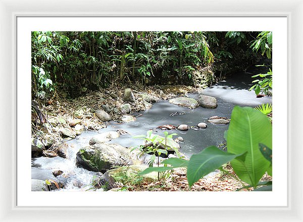 Sulphur Spring - Framed Print