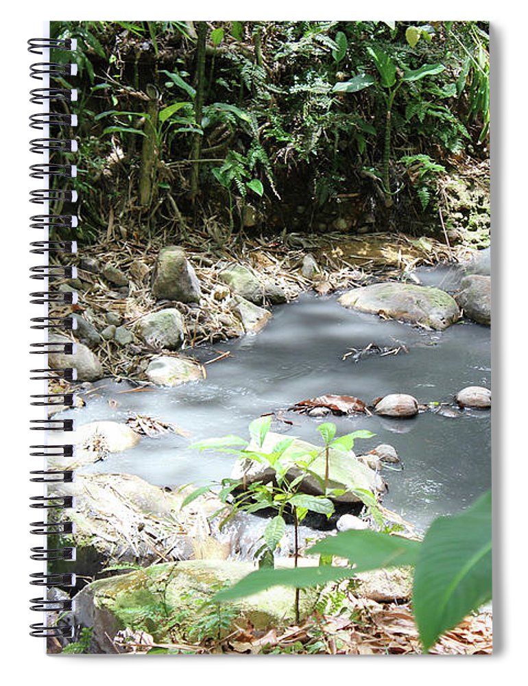 Sulphur Spring - Spiral Notebook