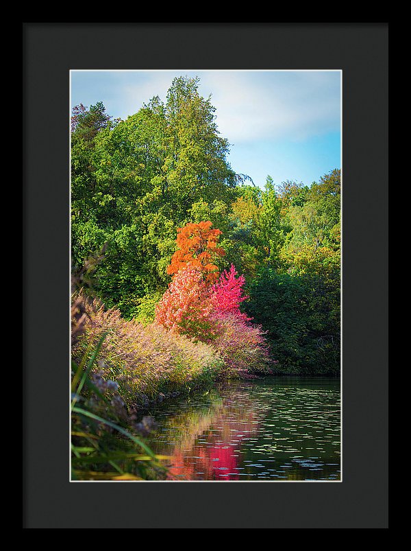 Surreal - Framed Print