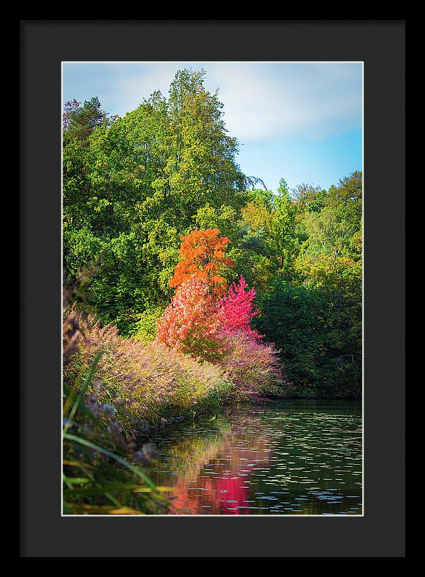 Surreal - Framed Print