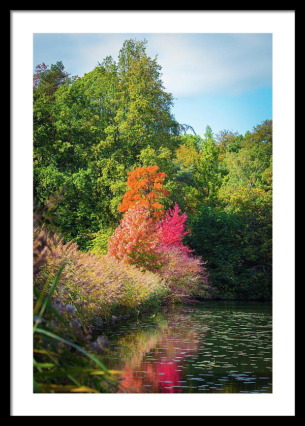 Surreal - Framed Print