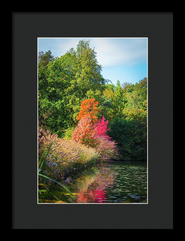 Surreal - Framed Print