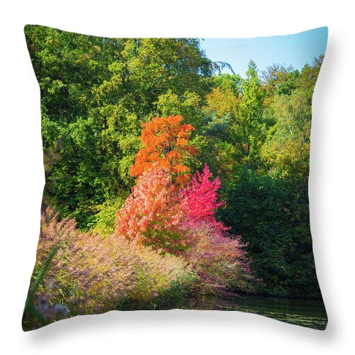 Surreal - Throw Pillow