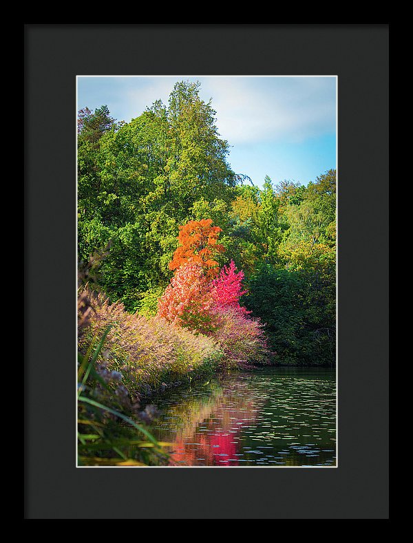 Surreal - Framed Print