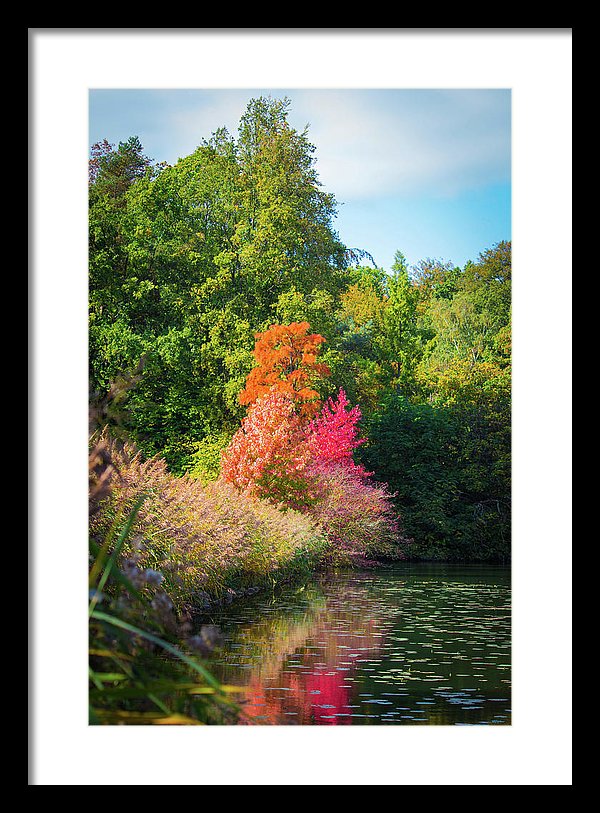 Surreal - Framed Print