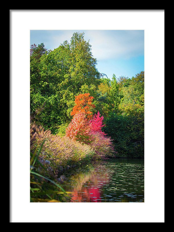 Surreal - Framed Print