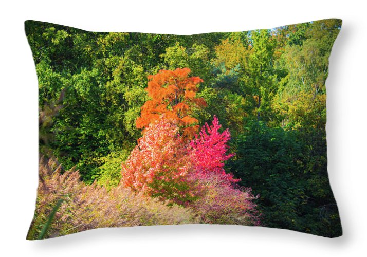 Surreal - Throw Pillow