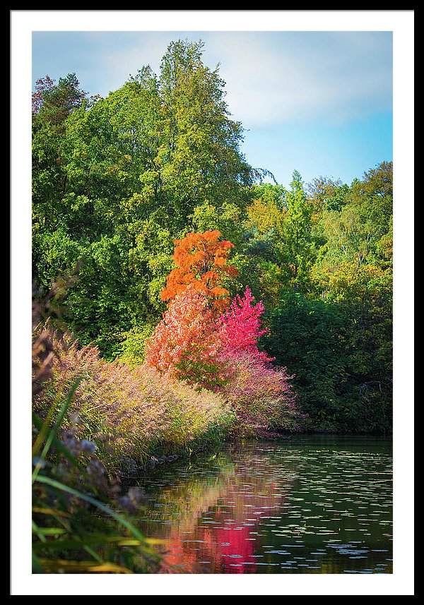 Surreal - Framed Print