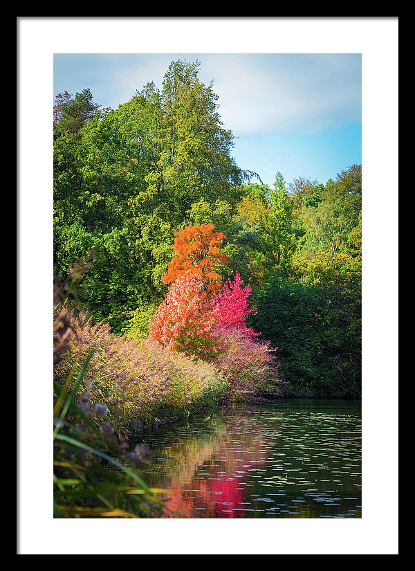 Surreal - Framed Print