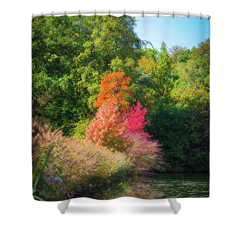 Surreal - Shower Curtain