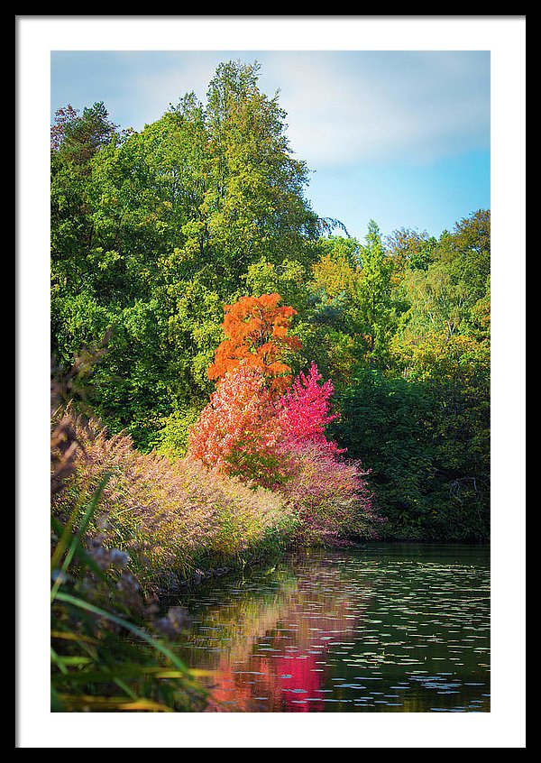 Surreal - Framed Print