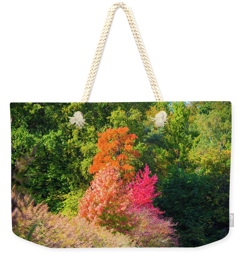 Surreal - Weekender Tote Bag