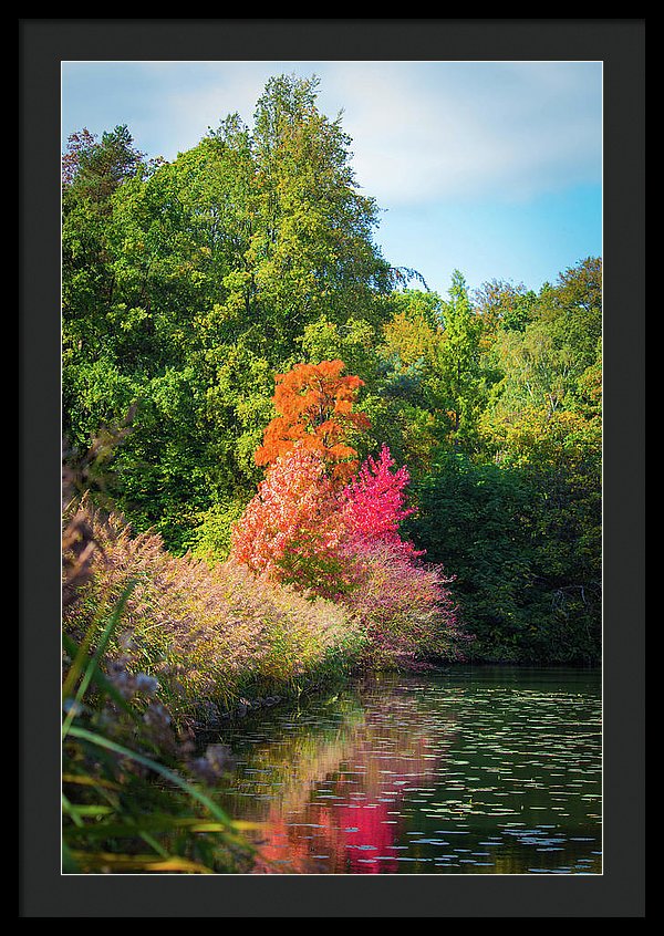 Surreal - Framed Print