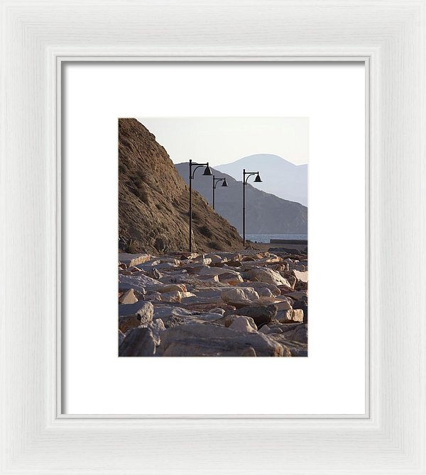 Three Of A Kind  - Framed Print