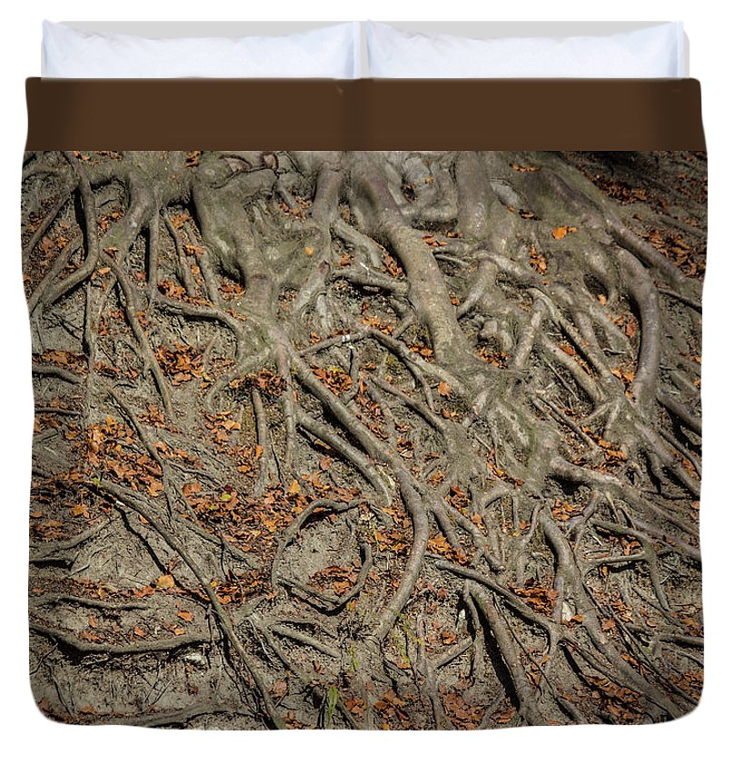 Trees' Roots - Duvet Cover