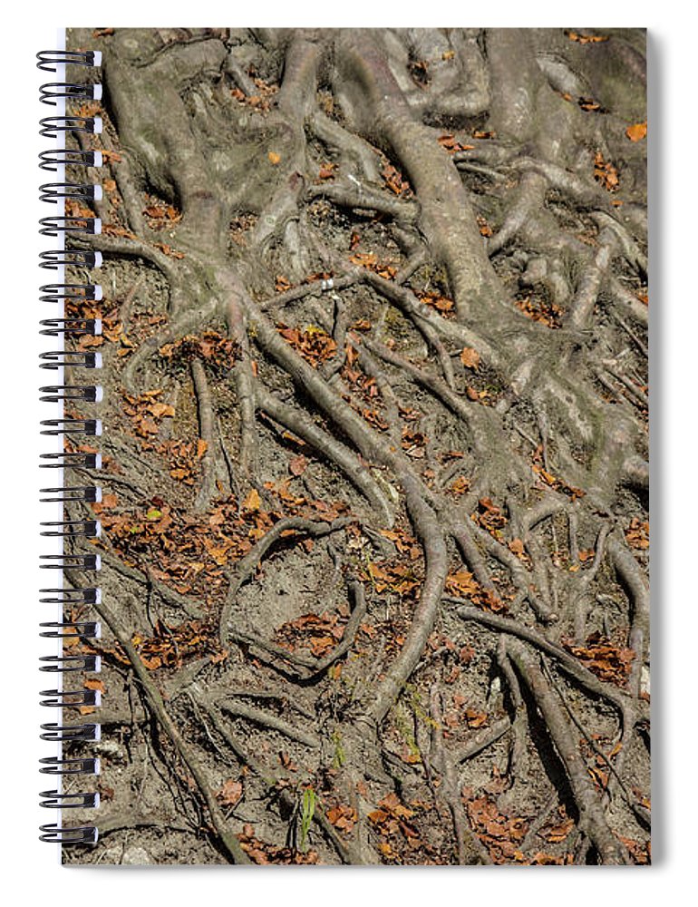 Trees' Roots - Spiral Notebook