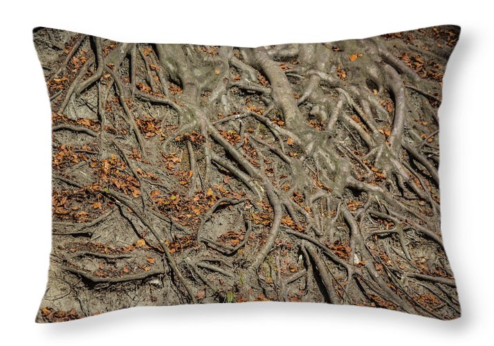Trees' Roots - Throw Pillow