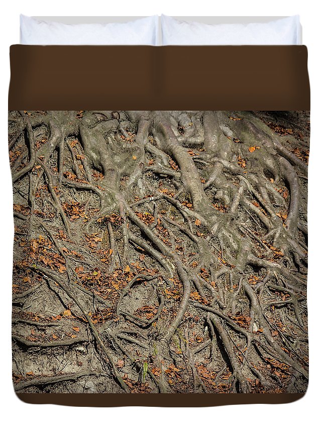 Trees' Roots - Duvet Cover